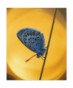 Canvas Print | Canvas Wall Art | Art Home Decor