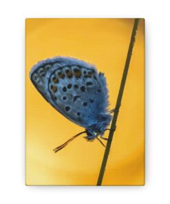 Canvas Print | Canvas Wall Art | Art Home Decor