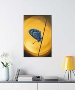 Canvas Print | Canvas Wall Art | Art Home Decor