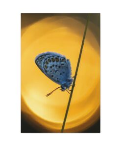 Canvas Print | Canvas Wall Art | Art Home Decor