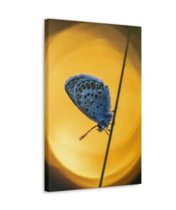 Canvas Print | Canvas Wall Art | Art Home Decor