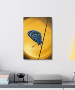 Canvas Print | Canvas Wall Art | Art Home Decor