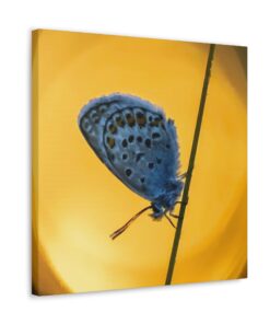 Canvas Print | Canvas Wall Art | Art Home Decor