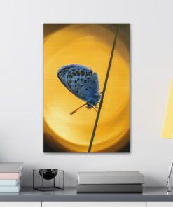 Canvas Print | Canvas Wall Art | Art Home Decor