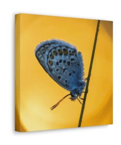 Canvas Print | Canvas Wall Art | Art Home Decor