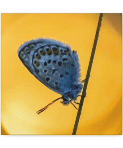 Canvas Print | Canvas Wall Art | Art Home Decor