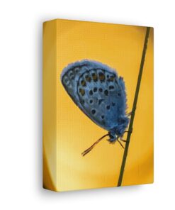 Canvas Print | Canvas Wall Art | Art Home Decor