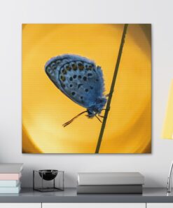 Canvas Print | Canvas Wall Art | Art Home Decor