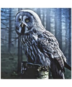 Canvas Gallery Wrap Print | Canvas Wall Art | Minimalist Art Home Decor