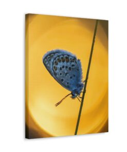 Canvas Print | Canvas Wall Art | Art Home Decor