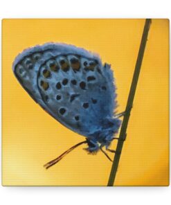 Canvas Print | Canvas Wall Art | Art Home Decor