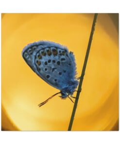 Canvas Print | Canvas Wall Art | Art Home Decor