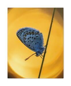 Canvas Print | Canvas Wall Art | Art Home Decor