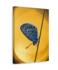 Canvas Print | Canvas Wall Art | Art Home Decor