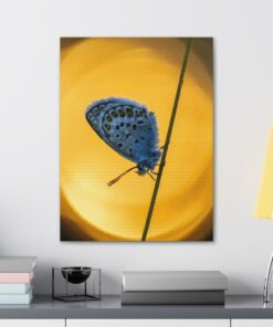 Canvas Print | Canvas Wall Art | Art Home Decor