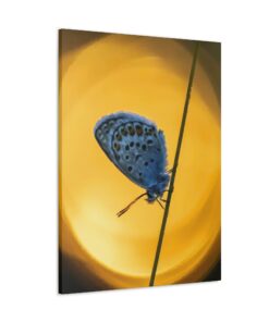 Canvas Print | Canvas Wall Art | Art Home Decor