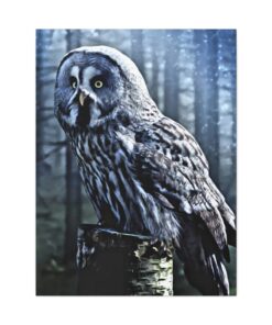 Canvas Gallery Wrap Print | Canvas Wall Art | Minimalist Art Home Decor