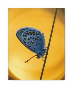 Canvas Print | Canvas Wall Art | Art Home Decor