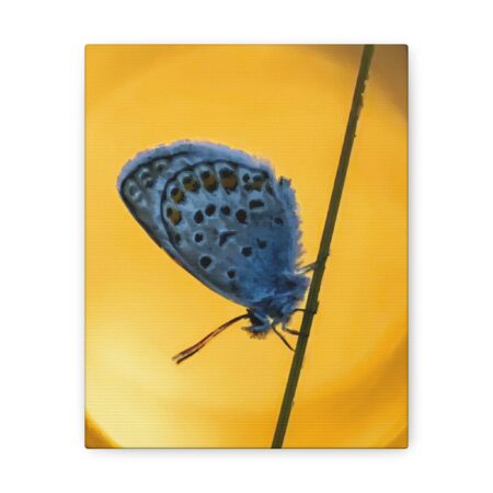 Canvas Print | Canvas Wall Art | Art Home Decor