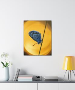 Canvas Print | Canvas Wall Art | Art Home Decor