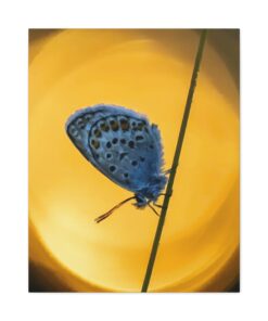 Canvas Print | Canvas Wall Art | Art Home Decor