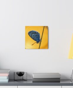 Canvas Print | Canvas Wall Art | Art Home Decor