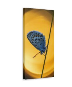 Canvas Print | Canvas Wall Art | Art Home Decor