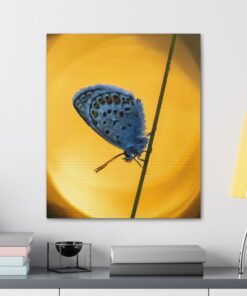 Canvas Print | Canvas Wall Art | Art Home Decor