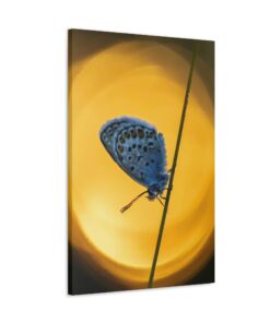 Canvas Print | Canvas Wall Art | Art Home Decor