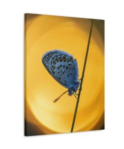 Canvas Print | Canvas Wall Art | Art Home Decor