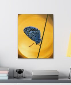 Canvas Print | Canvas Wall Art | Art Home Decor