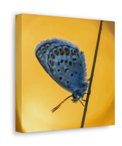 Canvas Print | Canvas Wall Art | Art Home Decor