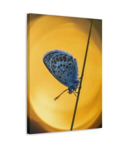 Canvas Print | Canvas Wall Art | Art Home Decor