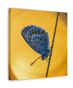 Canvas Print | Canvas Wall Art | Art Home Decor