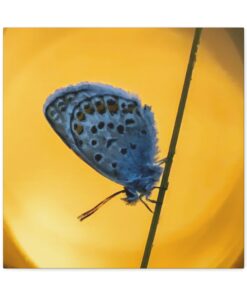 Canvas Print | Canvas Wall Art | Art Home Decor