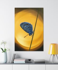 Canvas Print | Canvas Wall Art | Art Home Decor