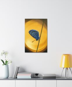 Canvas Print | Canvas Wall Art | Art Home Decor