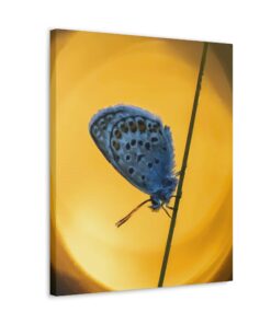 Canvas Print | Canvas Wall Art | Art Home Decor