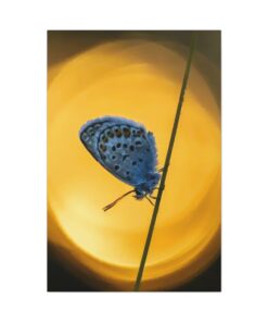 Canvas Print | Canvas Wall Art | Art Home Decor