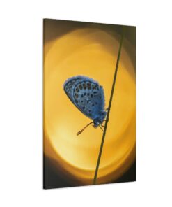 Canvas Print | Canvas Wall Art | Art Home Decor