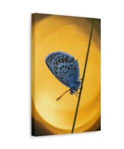 Canvas Print | Canvas Wall Art | Art Home Decor