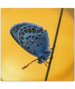 Canvas Print | Canvas Wall Art | Art Home Decor