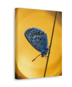 Canvas Print | Canvas Wall Art | Art Home Decor