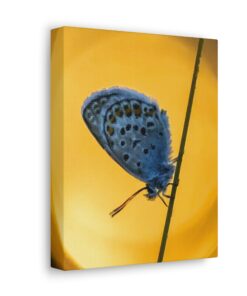 Canvas Print | Canvas Wall Art | Art Home Decor