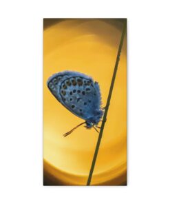 Canvas Print | Canvas Wall Art | Art Home Decor