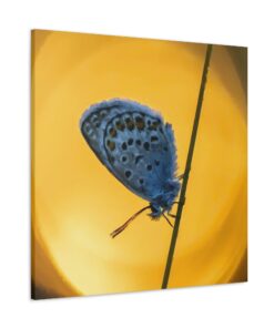 Canvas Print | Canvas Wall Art | Art Home Decor