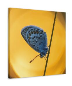 Canvas Print | Canvas Wall Art | Art Home Decor