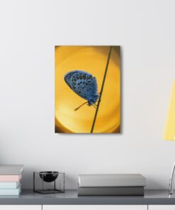 Canvas Print | Canvas Wall Art | Art Home Decor