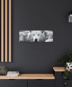 Canvas Gallery Wrap Print | Canvas Wall Art | Wildlife Art Home Decor